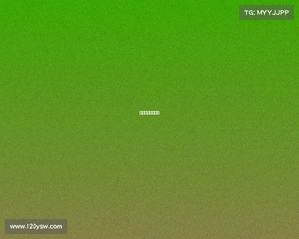 赛事组委会全红婵